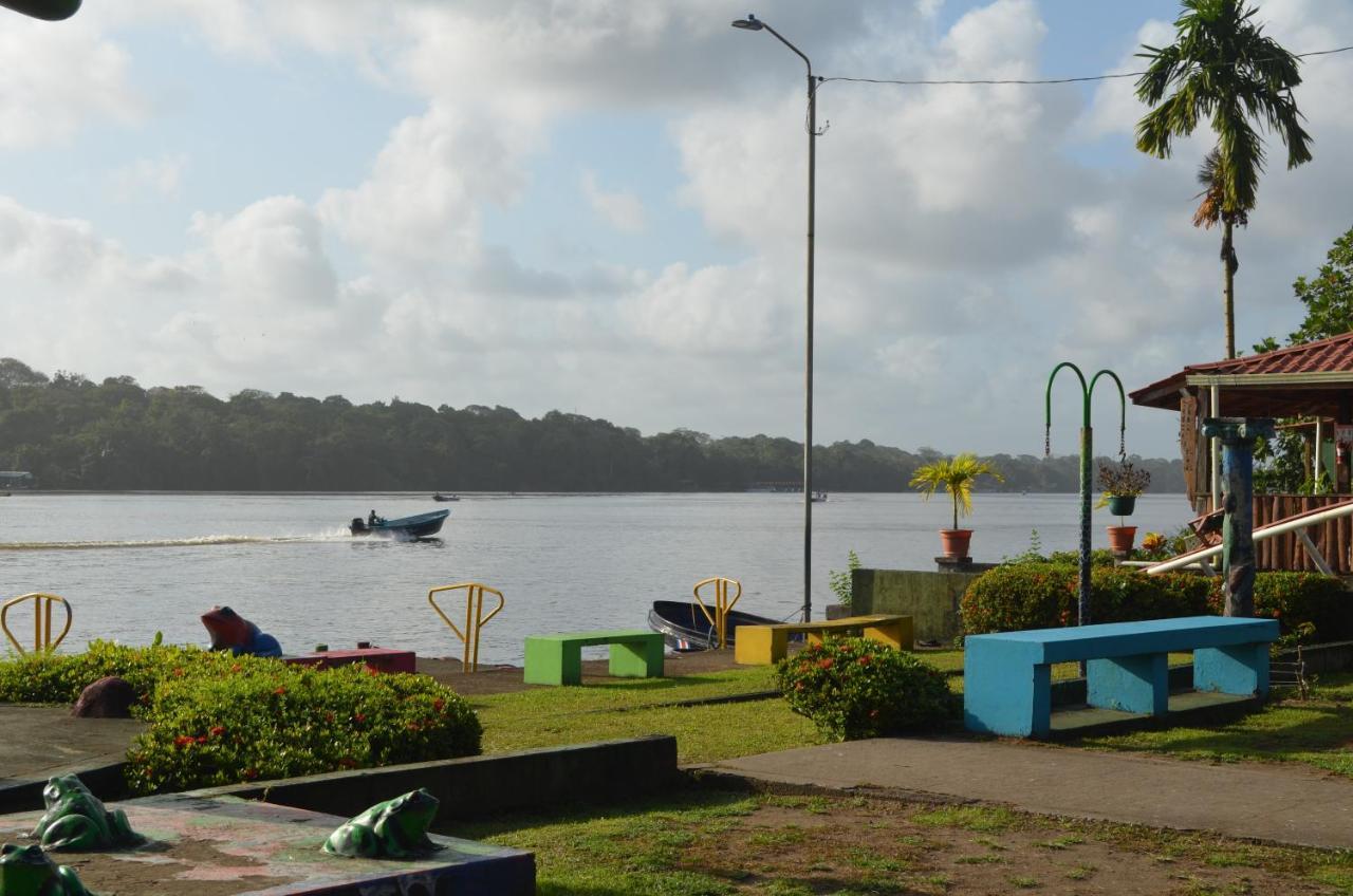 Hotel Pura Natura Riverside Tortuguero Bagian luar foto