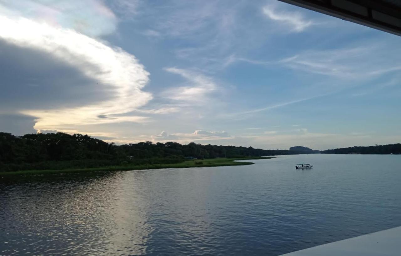 Hotel Pura Natura Riverside Tortuguero Bagian luar foto